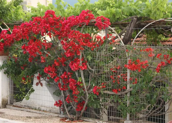 Melissani * Sami (Kefalonia)